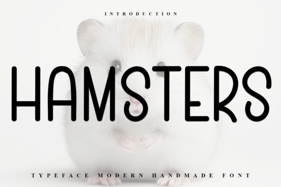 Hamsters Font: Modern Typography